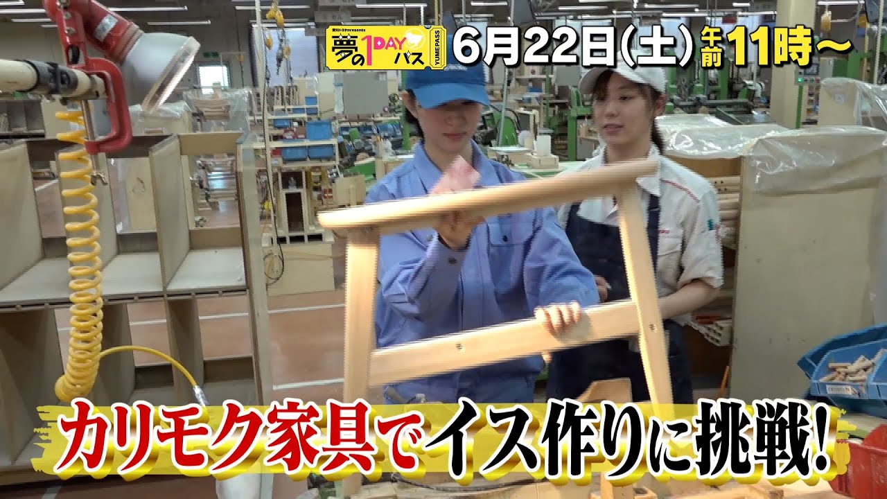 【予告】「夢の１DAYパス」6月22日（土）午前11時～
