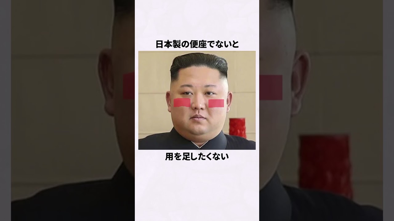 実は北朝鮮で人気のある日本の商品