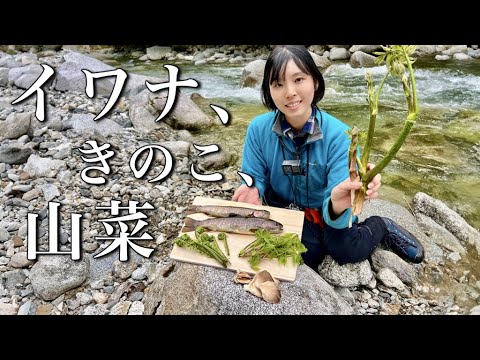 食材現地調達キャンプ！釣りして野営、山の恵みで豪華料理 | 大イワナや野草の天ぷらを食す