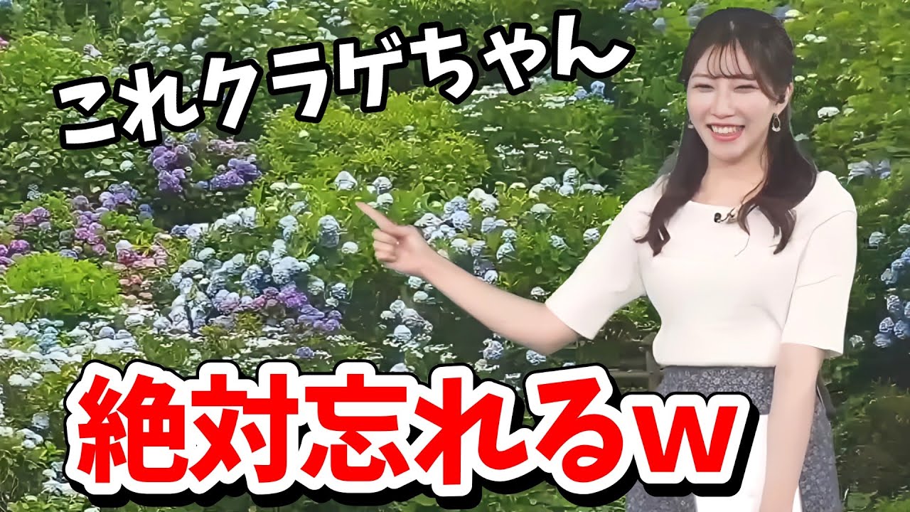 【魚住茉由】マイ紫陽花を決めて観察することにした茉由ちゃん。名前は「クラゲ」【ウェザーニュース切り抜き】