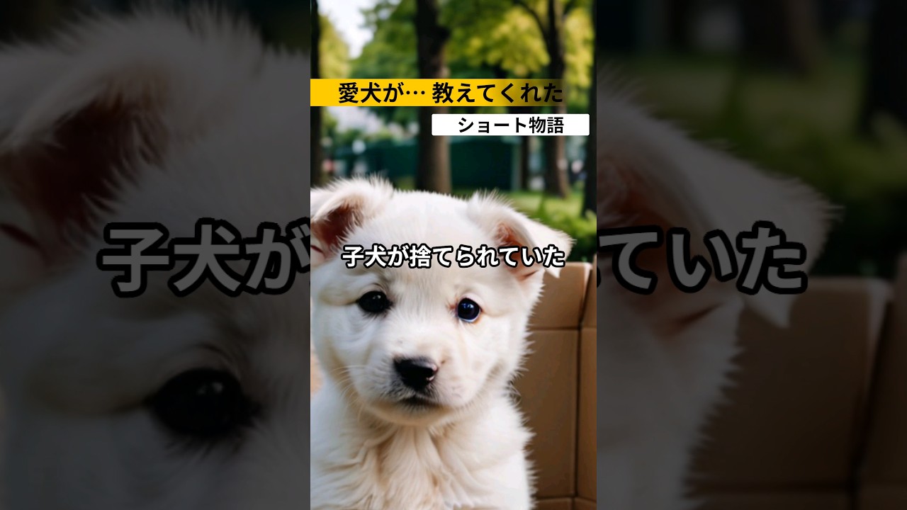 愛犬が… 教えてくれた #感動する話 #泣ける話