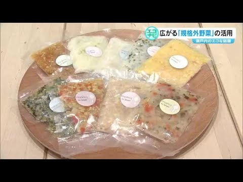 規格外野菜をおいしく…煮込みうどんなど手作りの冷凍離乳食で活用！【エコナビ・香川】 (24/06/20 18:00)