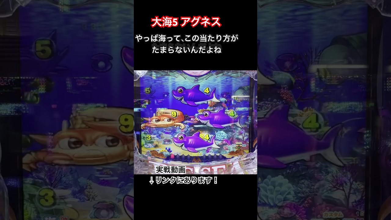 大海5アグネス（三洋）海だからこその当たり方　パチンコ　デジパチ