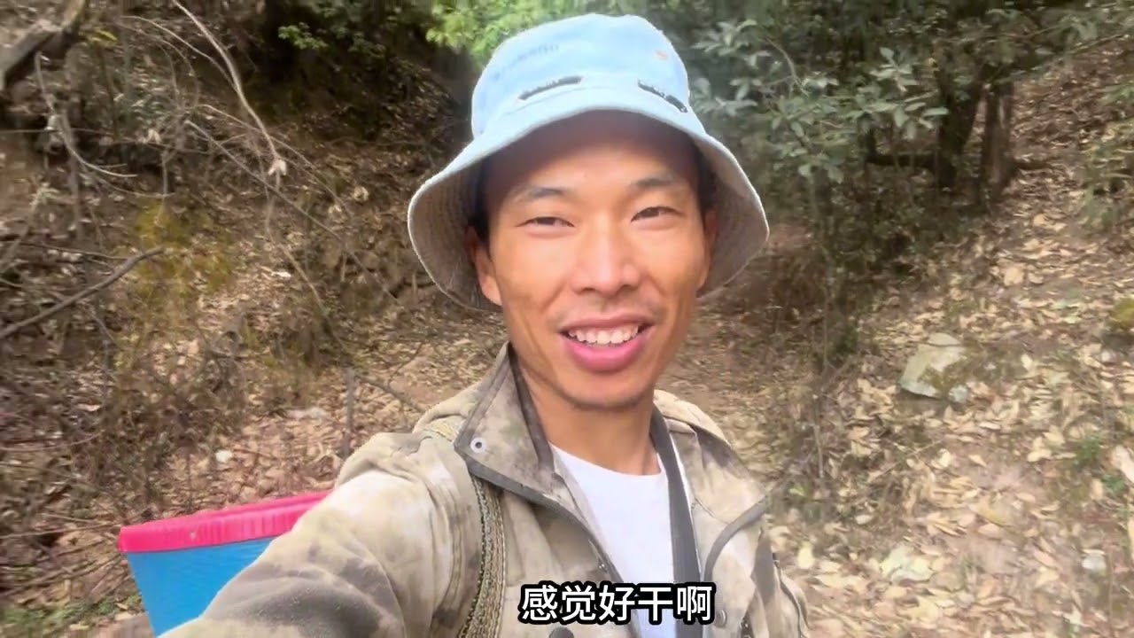 雲南大山里野味真多，跟隨媳婦進山摘野菜找香蕈，收穫真不錯