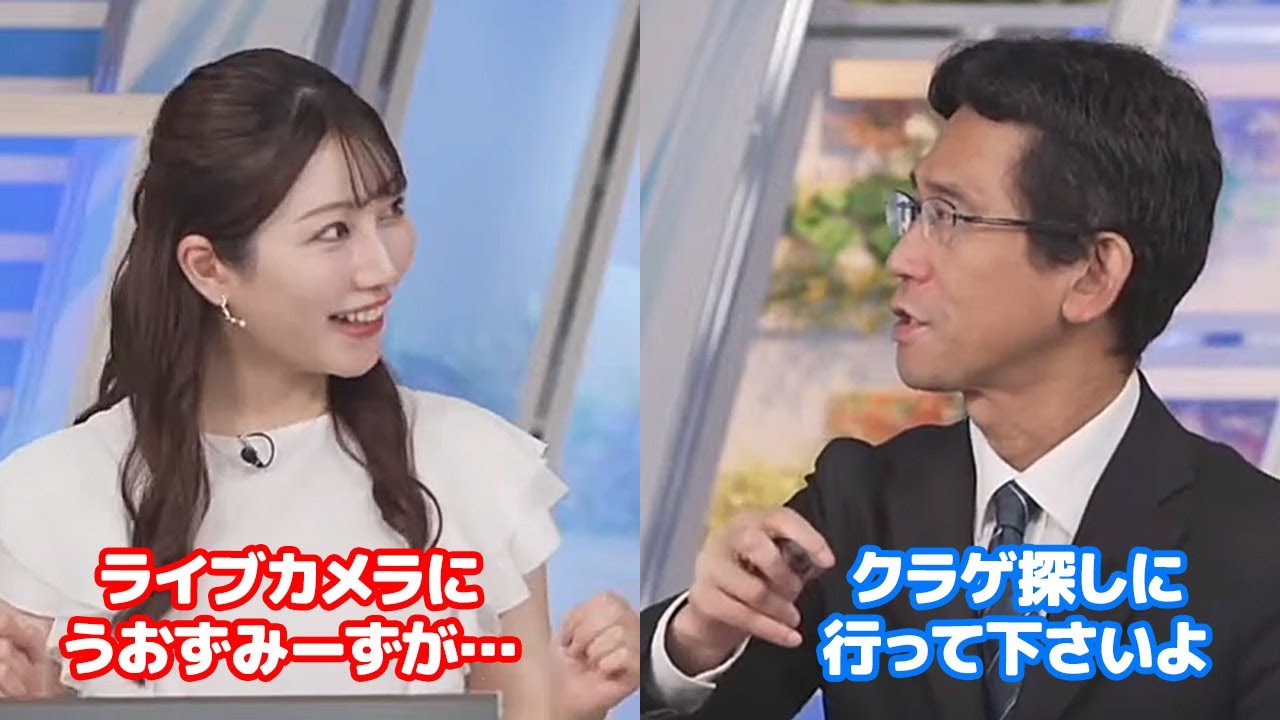 【魚住茉由・山口剛央】あじさいライブカメラで命名したクラゲの存在を知ってる予報士さんに驚くお天気キャスター