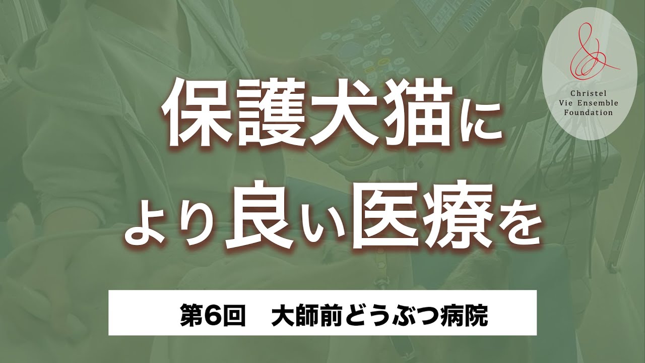 【第6回】保護犬猫により良い医療を #大師前どうぶつ病院  〜保護犬猫支援基金 協力動物病院紹介〜