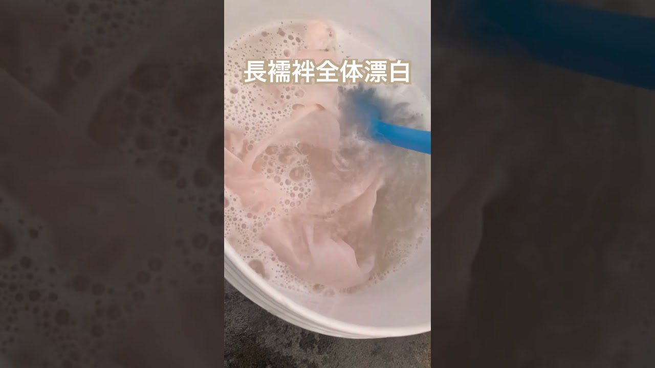 長襦袢全体漂白法#志洗堂着物丸洗い専門店#shorts