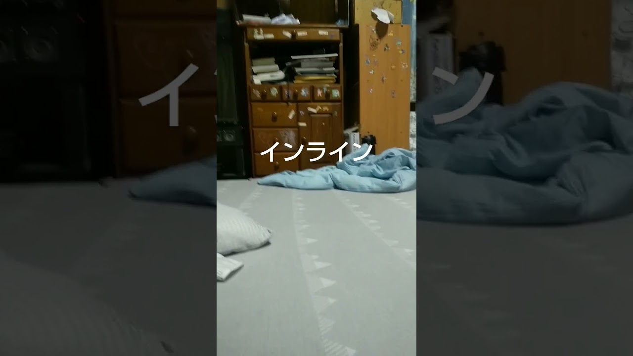 2024年6月19日