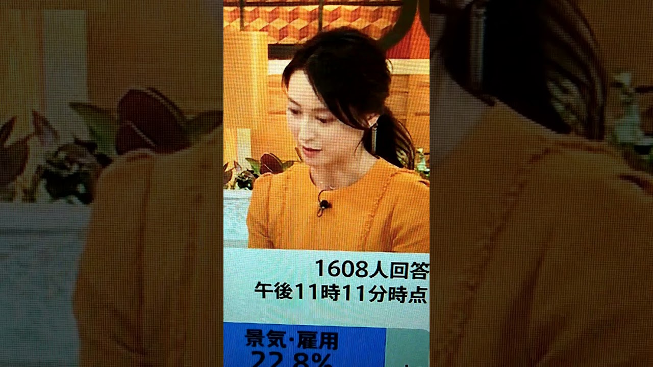 新！小川彩佳23と能登・台湾応援団228