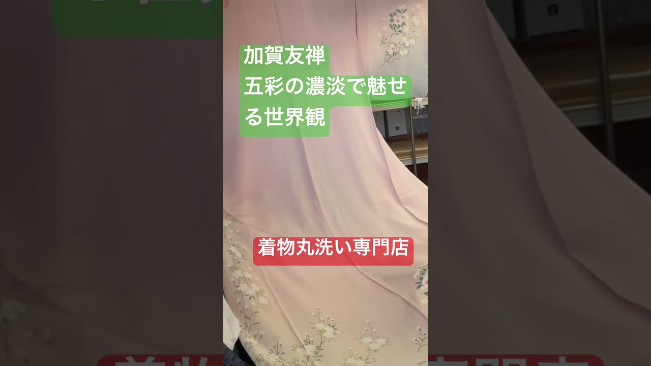 加賀友禅の五彩について熱く語るが、カメラマンとの温度差がすごい。着物丸洗い専門店#shorts