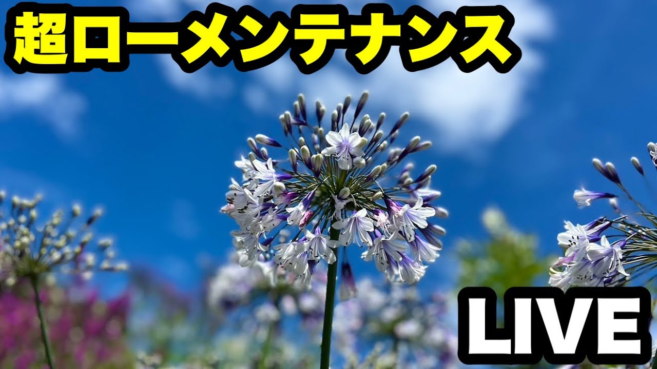◆【超ローメンテナンス】を極める！