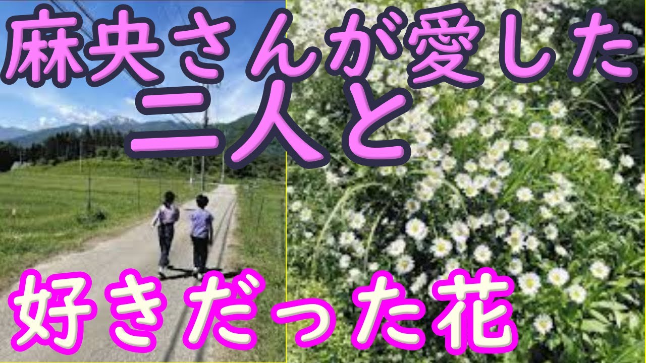 麻央さんが愛した二人と散歩の道に、見つけた好きだった花。