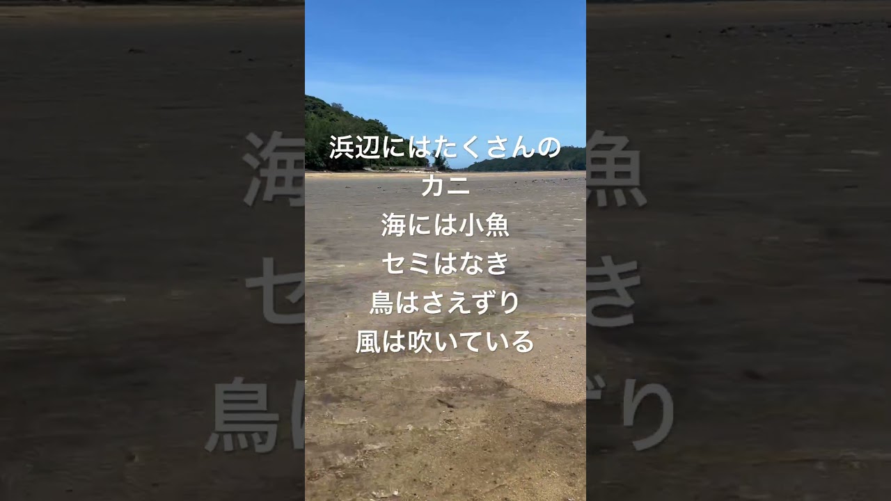 本日は、慰霊の日#沖縄#平和#海#名護東海岸
