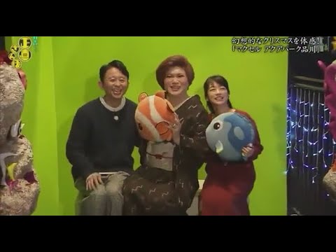 『有吉くんの正直さんぽ』 𒅒 🅷🅾🆃 ☂「ペンギンさんの得意技に合わせて」🏃‍♀️🏃‍♂️🏃‍♂️