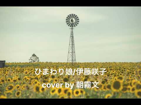 ひまわり娘/朝霧文カバー