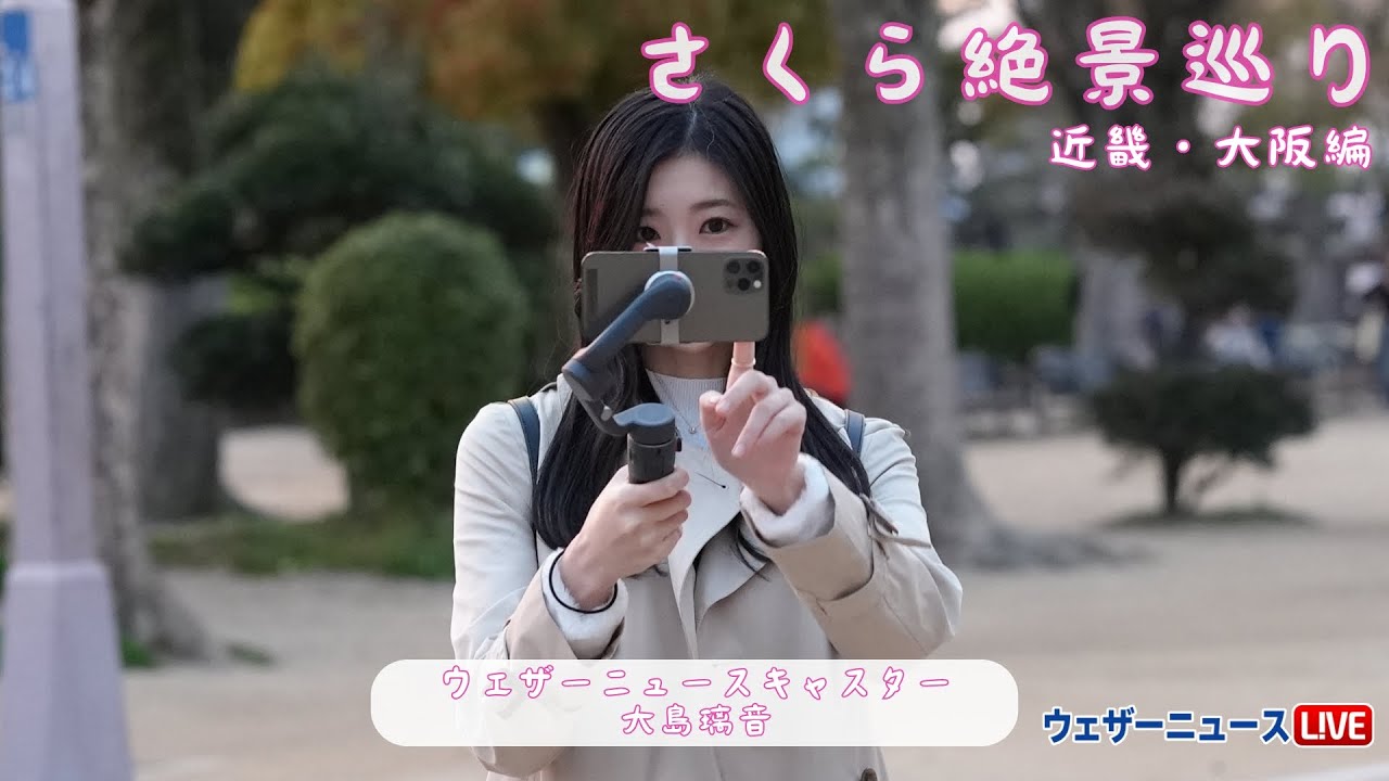 【桜】桜絶景巡り〜大阪編〜/大島璃音