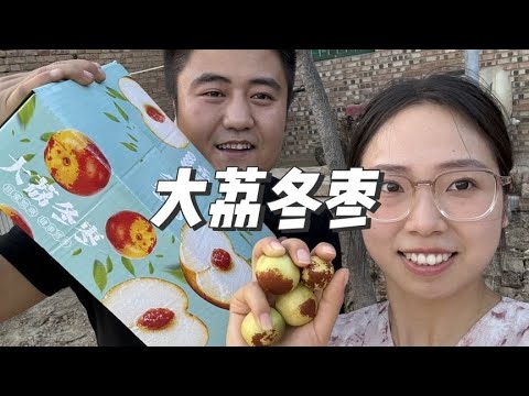 两天没有更新视频，小夫妻忙着跑果园，终于找到一款很好吃的水果