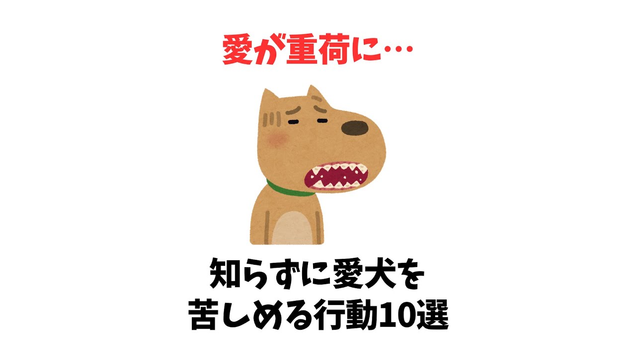 愛が重荷に…知らずに愛犬を苦しめる行動