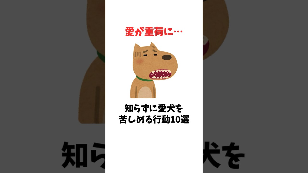 愛が重荷に…知らずに愛犬を苦しめる行動　#犬 #ペット #雑学