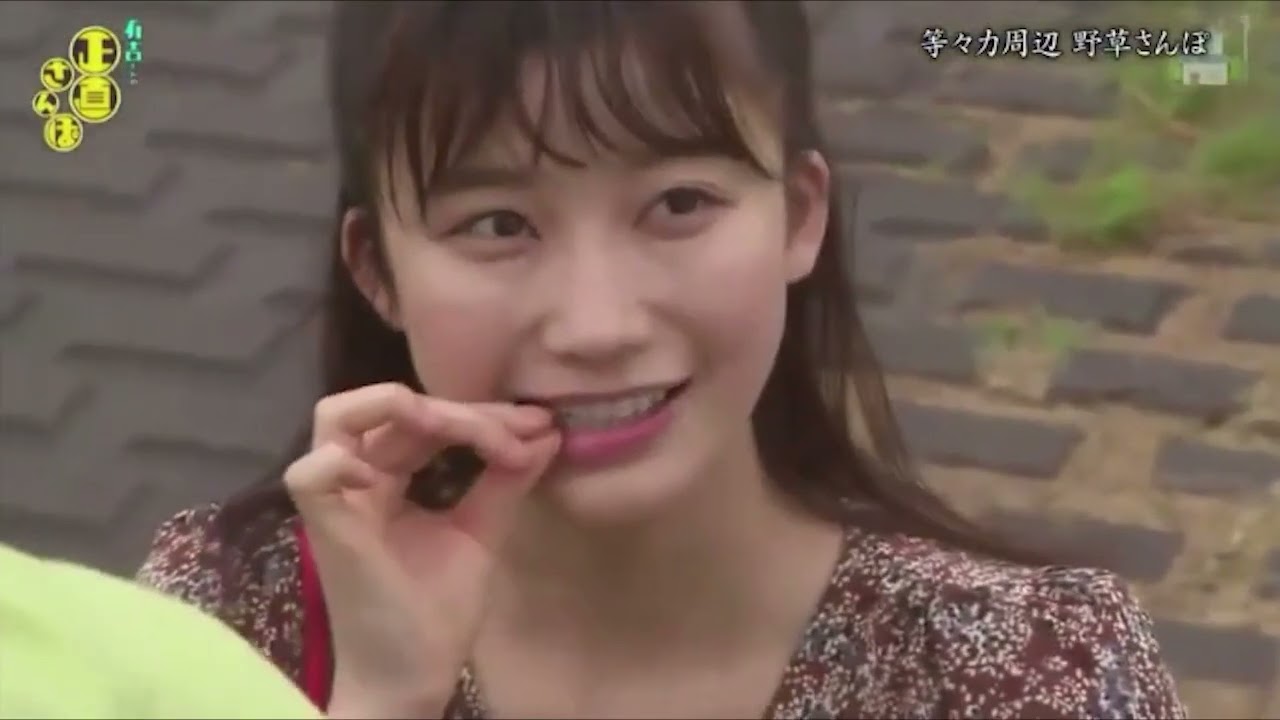 『有吉くんの正直さんぽ』 𒅒 🅷🅾🆃 ☂「等々力周辺 野草さんば?」🏃‍♀️🏃‍♂️🏃‍♂️