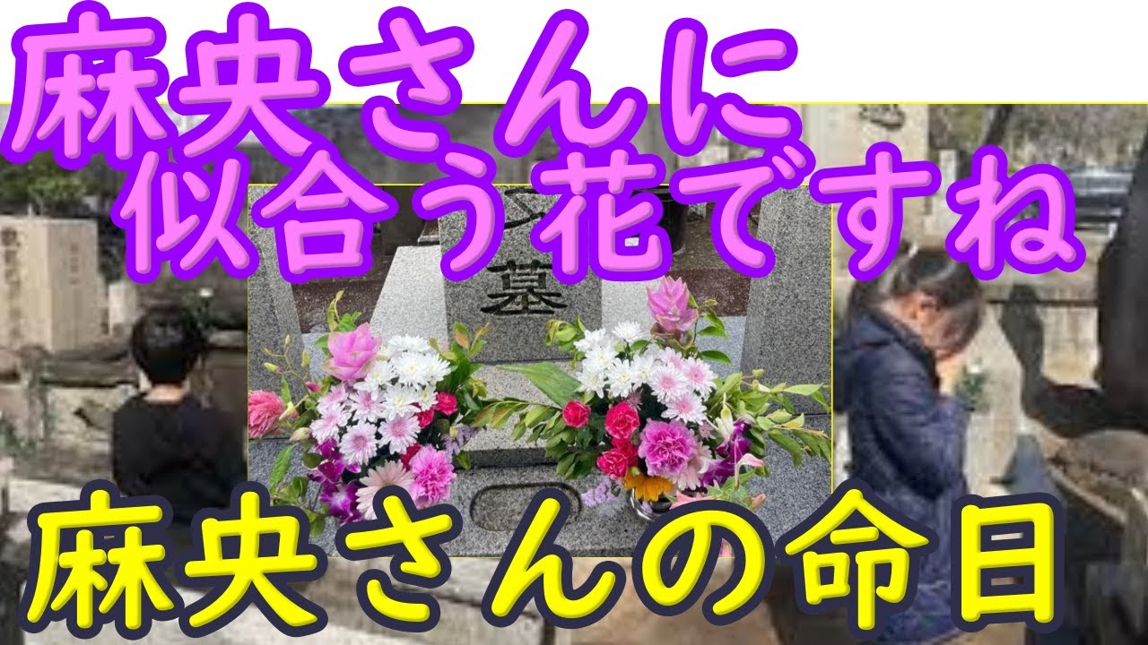 麻央さんに似合う花ですね。団十郎さん、麗禾さん、勧玄くん、麻央さんのお墓参り。