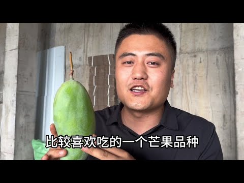 这次推荐的攀枝花金煌芒果，看起来颜色比较青，吃起来很好吃