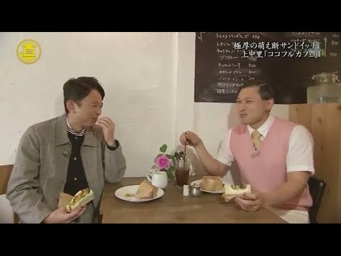 『有吉くんの正直さんぽ』 𒅒 🅷🅾🆃 ☂「等々力周辺 野草さんほ?」🏃‍♀️🏃‍♂️🏃‍♂️