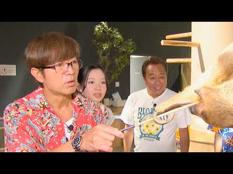 【モヤさま】さまぁ〜ず&田中瞳アナ、沖縄&石垣島へ！『モヤモヤさまぁ〜ず２ やっぱりTHEリゾート めんそ〜れ！沖縄＆石垣島2024』予告編