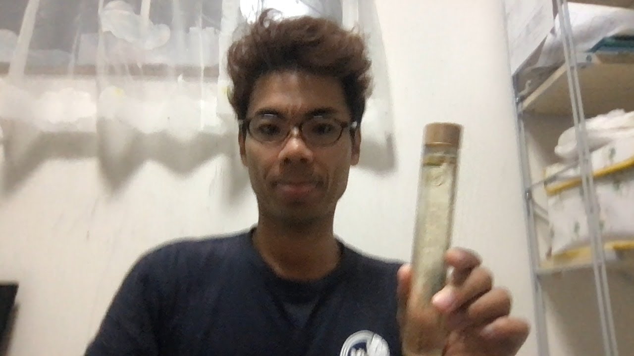 【ライブ配信 vol.163】今月は丸洗い・しみ抜きキャンペーンです！の巻