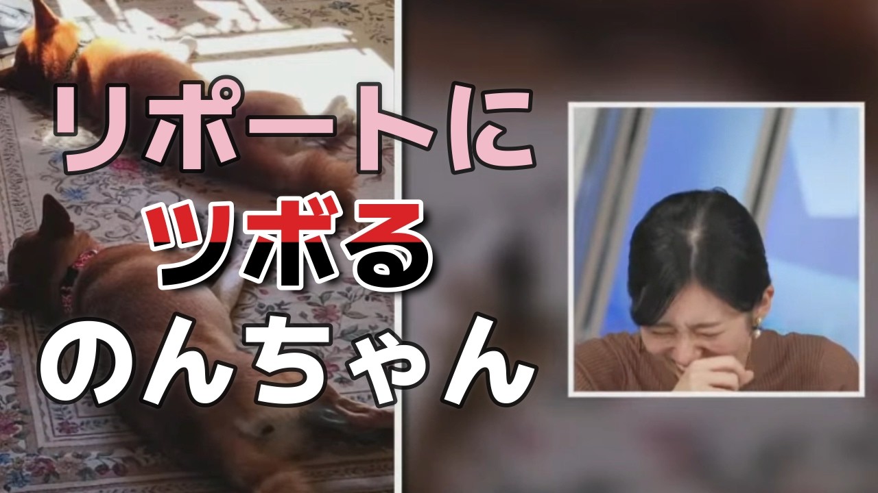 【大島璃音】スタッフさんと噛み合わずツボるのんちゃんｗ