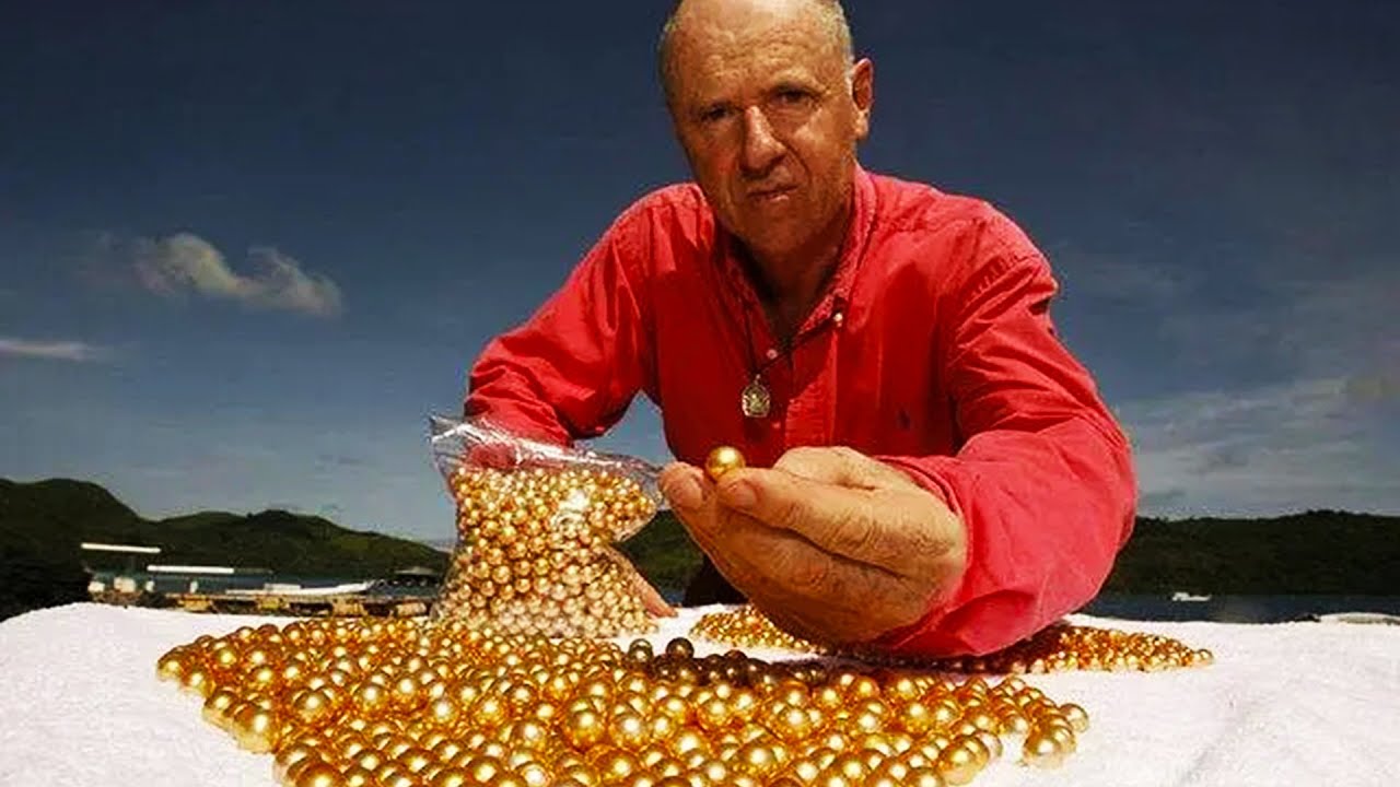 探秘神奇的珍珠养殖技术，在那不起眼的贝壳里竟然藏着价值连城的宝贝，一口气了解数十种种植和养殖秘密