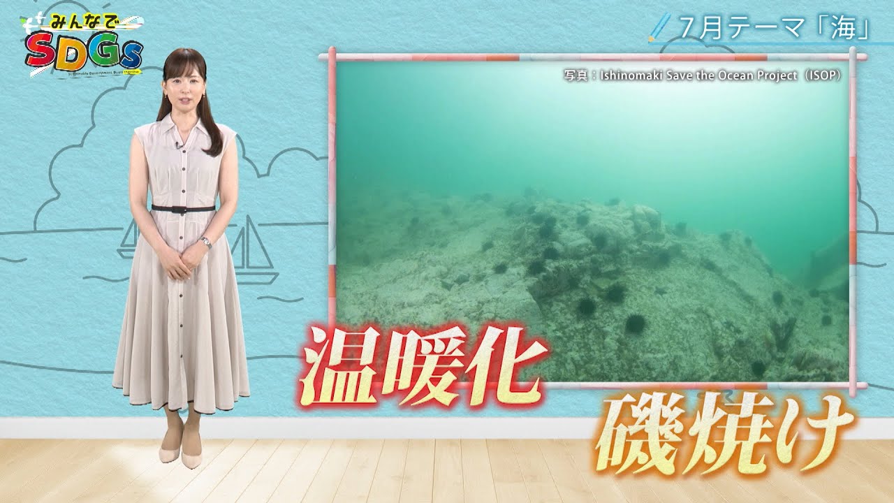 みんなでSDGs #14 |2024年7月4日放送