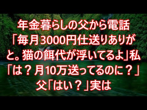 年金暮らしの父から電話「毎月3000円仕送りありがと。猫の餌代が浮いてるよ」私「は？月10万送ってるのに？」父「はい？」実は