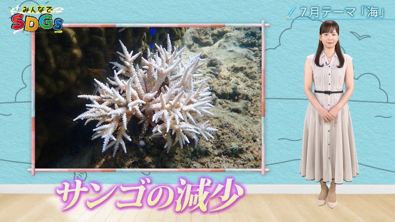 みんなでSDGs #15 |2024年7月11日放送