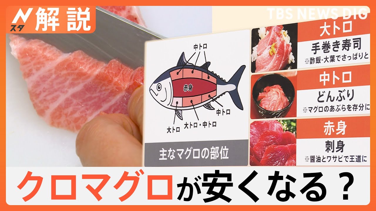 「美味しくてとろけます」マグロの王様が安くなるかも？ クロマグロ漁獲枠拡大なるか【Nスタ解説】｜TBS NEWS DIG