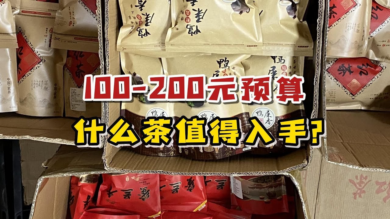 100 200元预算喝什么茶？哪些口粮茶最值得入手？3分钟教你选茶