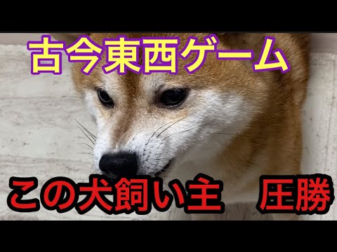 【柴犬飼い主54歳】古今東西ゲームが圧倒的に強い飼い主をみた！