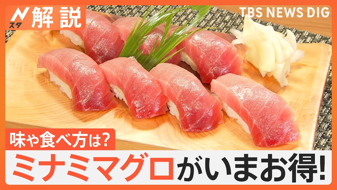 高級魚「ミナミマグロ」が去年より約2割安い！ 甘み強く味が濃い“赤いダイヤ”は炙りや漬け丼で美味しく食べよう【Nスタ解説】｜TBS NEWS DIG
