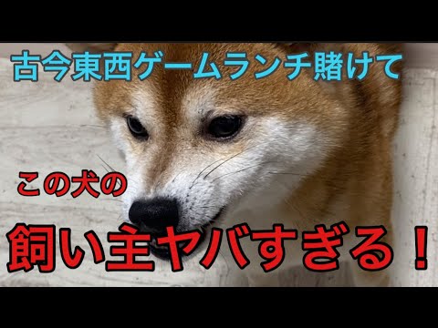 【柴犬飼い主54歳】この犬飼い主ヤベエ〜！