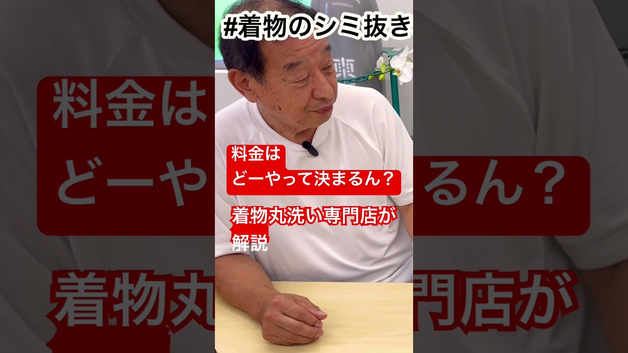 着物丸洗い専門店が解説#しみ抜き料金の妥当性とは。#shorts