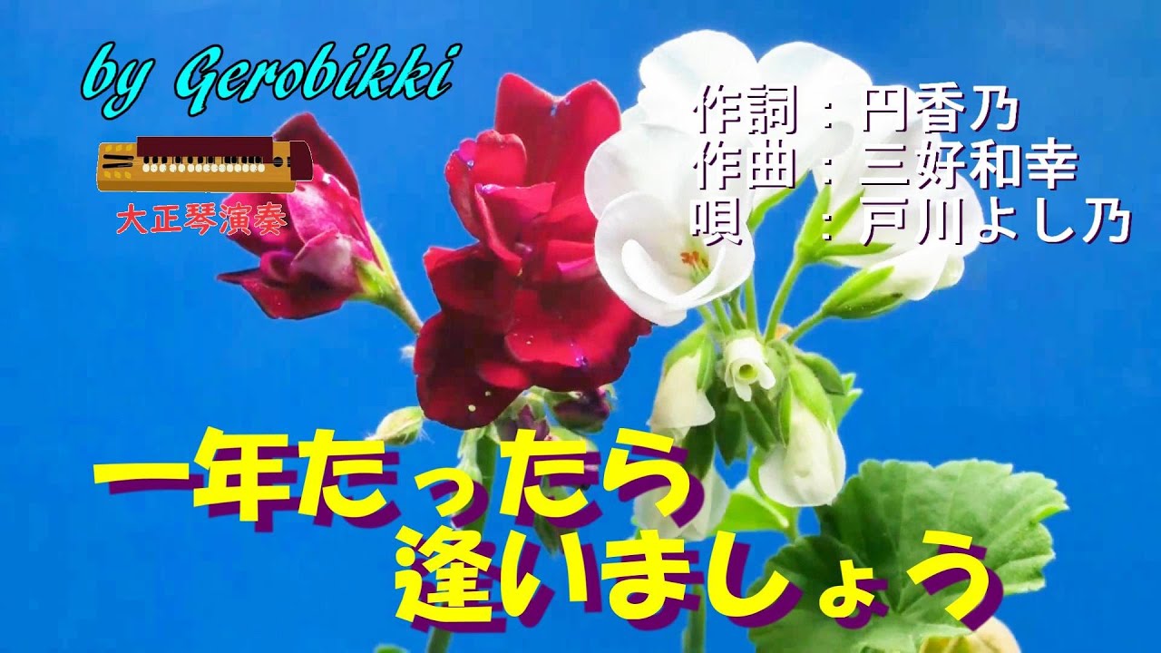 「一年たったら逢いましょう」/戸川よし乃　Japanese Taishogoto 大正琴　 /Gerobikki