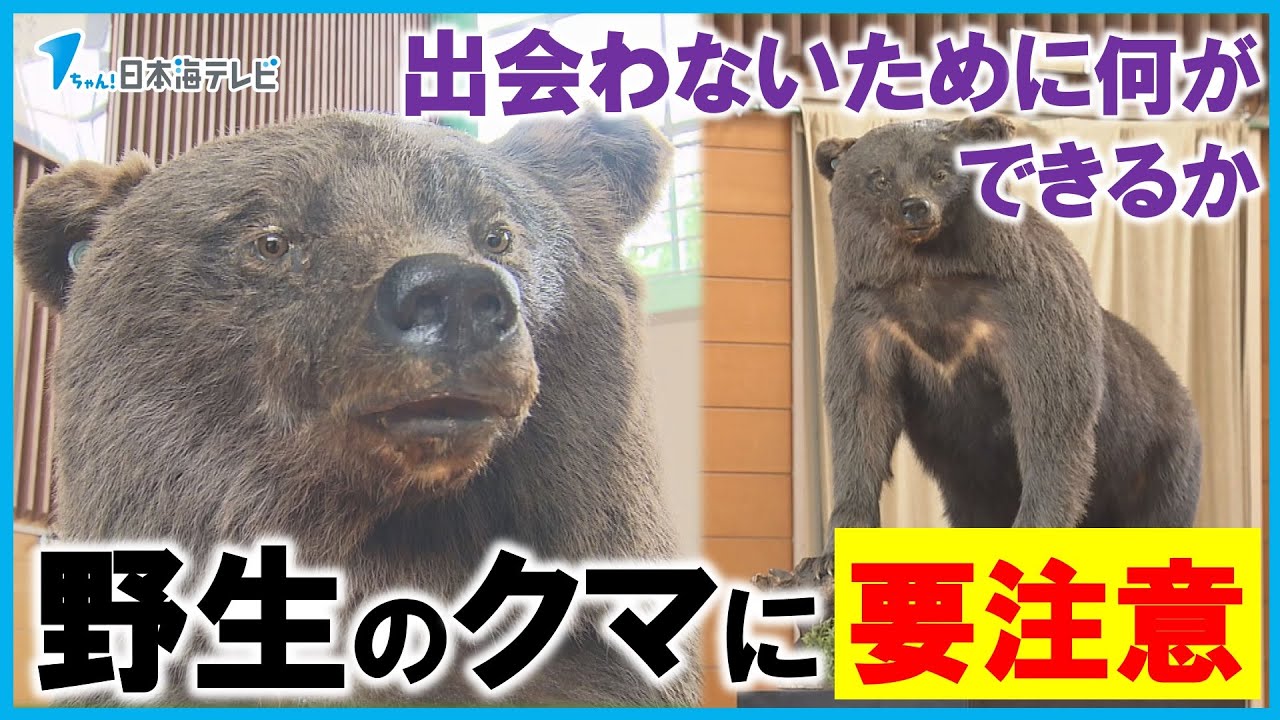 【出没が相次ぐ野生のクマ…】ハイキングコースや通学路でも目撃　アウトドアが増えるこれからの季節に正しいクマ対策を