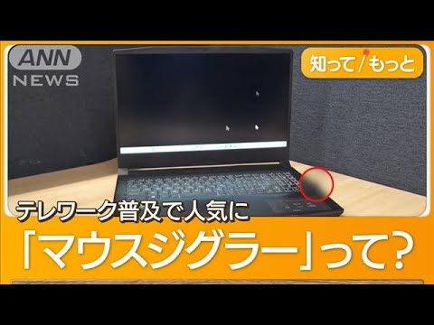 「働いてるふり」行員を一斉解雇　アメリカ銀行大手が…“マウス偽装工作”調査で判明【グッド！モーニング】(2024年6月18日)