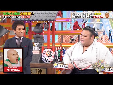 ジャンクSPORTS 2024 『浜田雅功ｘ上原浩治』 💥💥💥【注目力士が集結!大相撲SP】