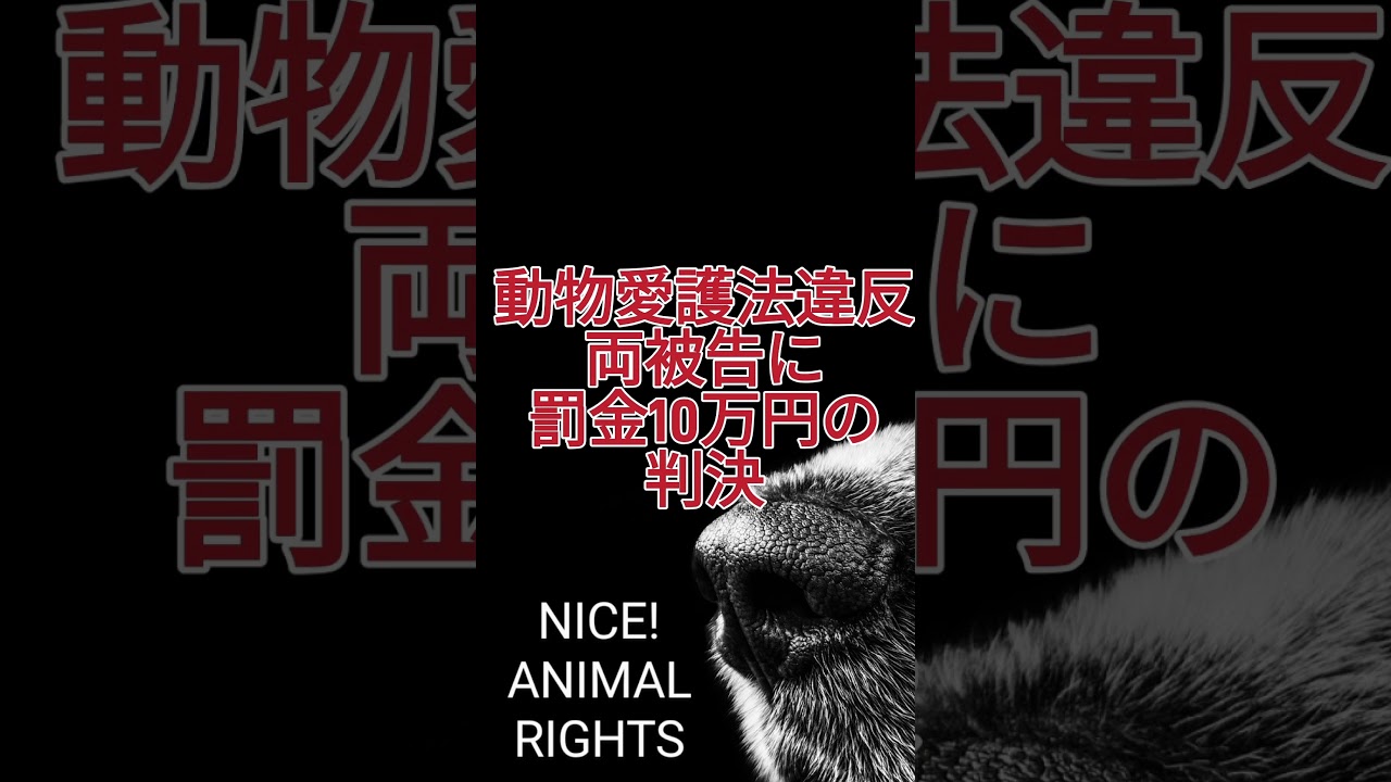 【動物倫理観】動物保護施設職員の暴行