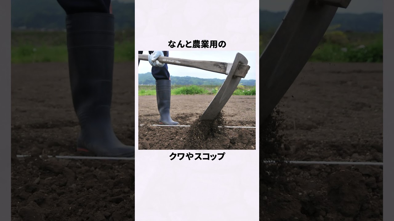 北朝鮮に存在するヤクザの裏側