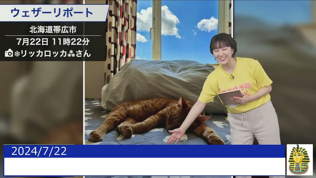 【20240722 ウェザーニュースライブ切り抜き】 にゃんにゃんリポート #白井ゆかり