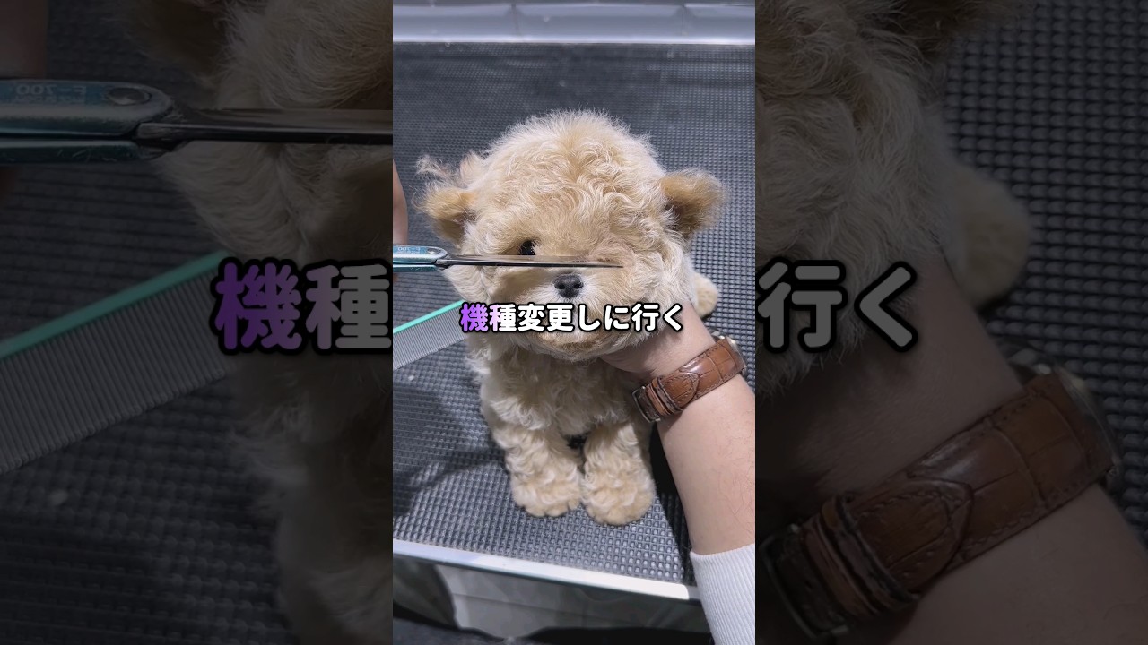 愛の記憶