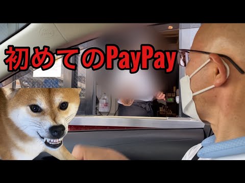【柴犬飼い主54歳】飼い主がドライブスルーで初めてPayPay使ってみた！