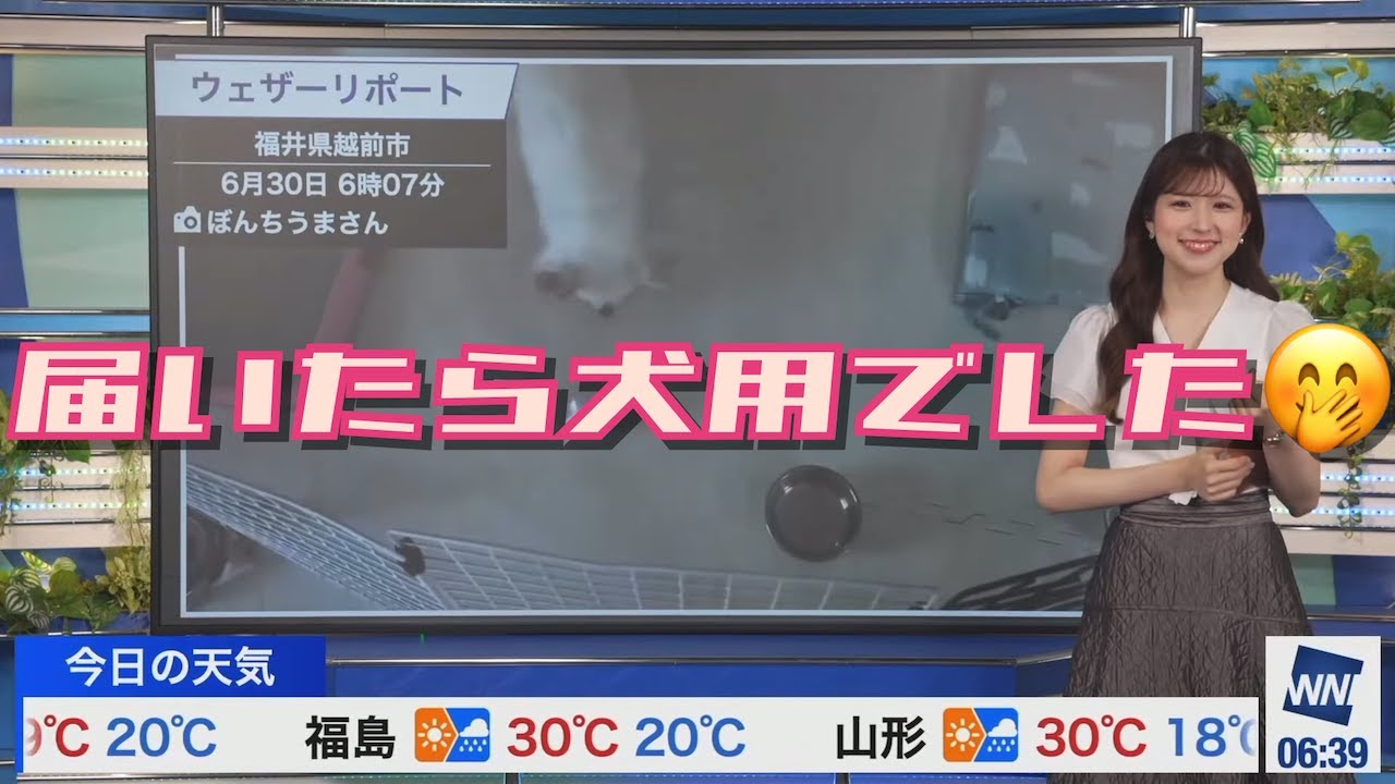 【小林李衣奈】リポート紹介【ウェザーニュース】